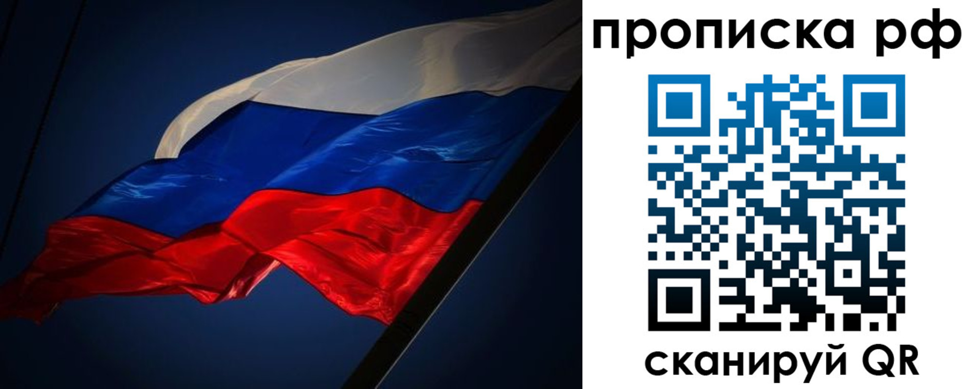 временная регистрация надежно в Камчатской области